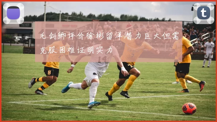毛剑卿评价徐彬留洋潜力巨大但需克服困难证明实力